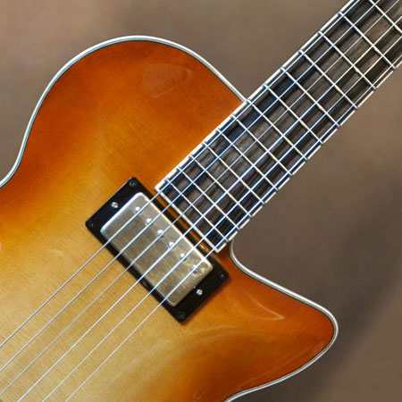 Shaded or Sunburst Finish