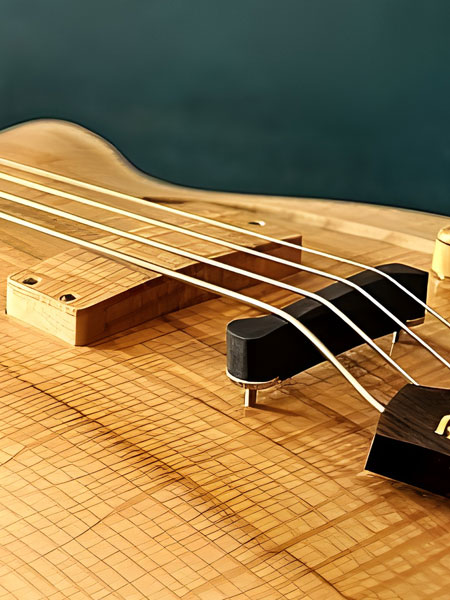 Pickup Cover & Bridge