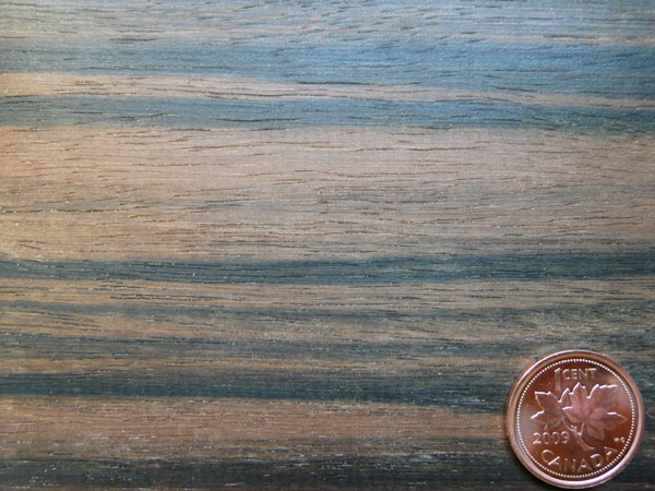 Macassar Ebony (Flatsawn)