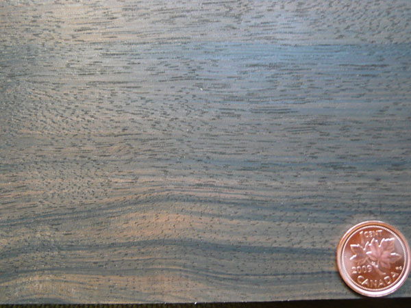 Macassar Ebony (Quartersawn)